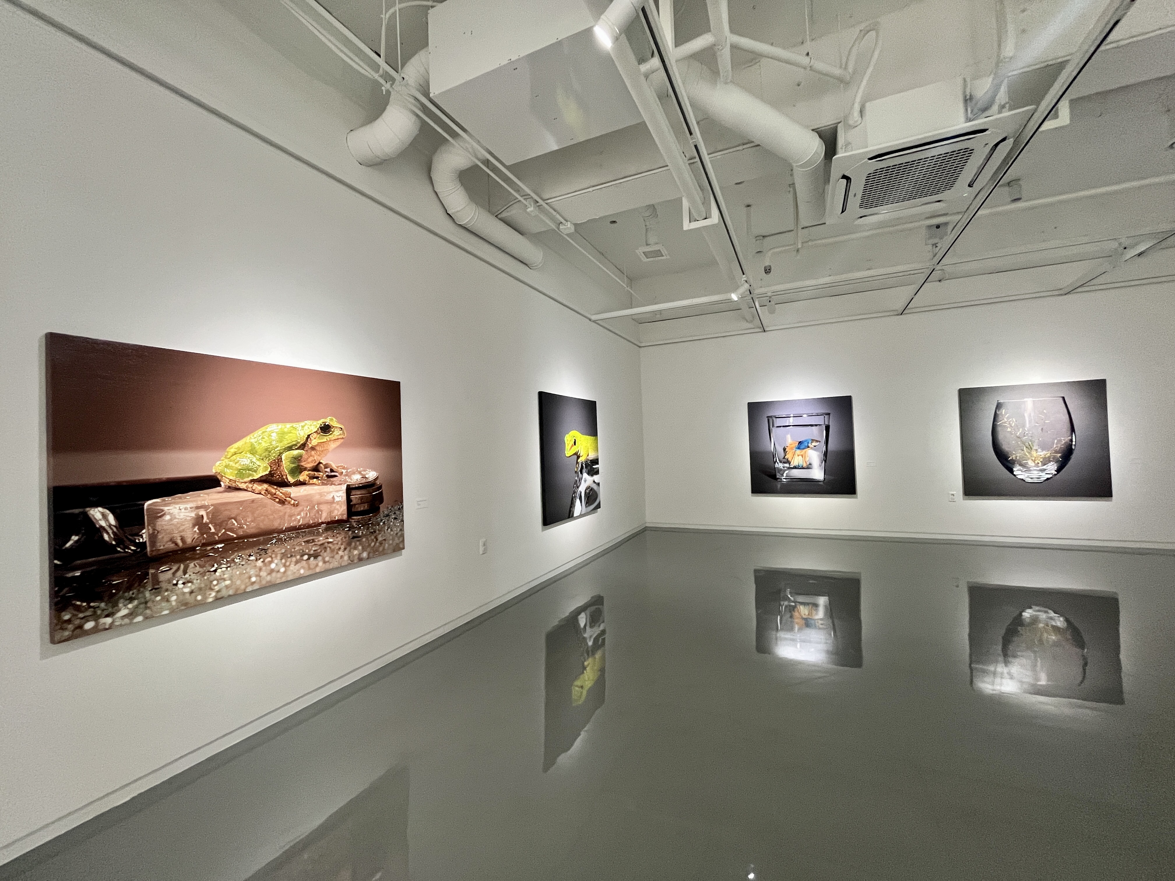 [2023전시공간활성화지원사업]경계 境界 금샘미술관 전시실2, 포토존4