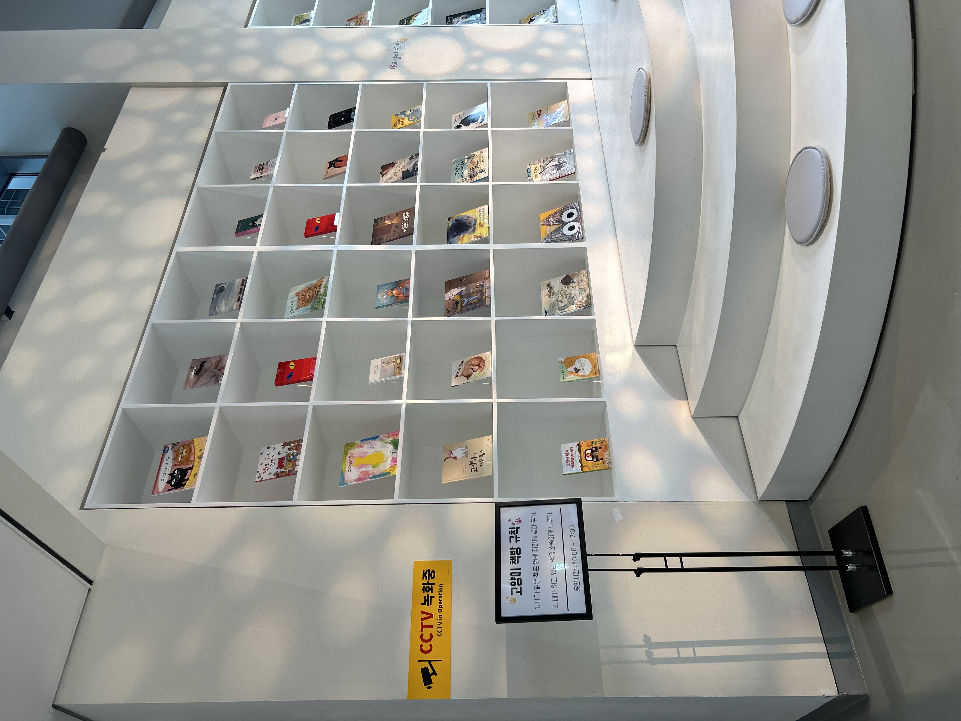 [2024교육전시]고양이 비밀정원-로비 및 고양이 책방2