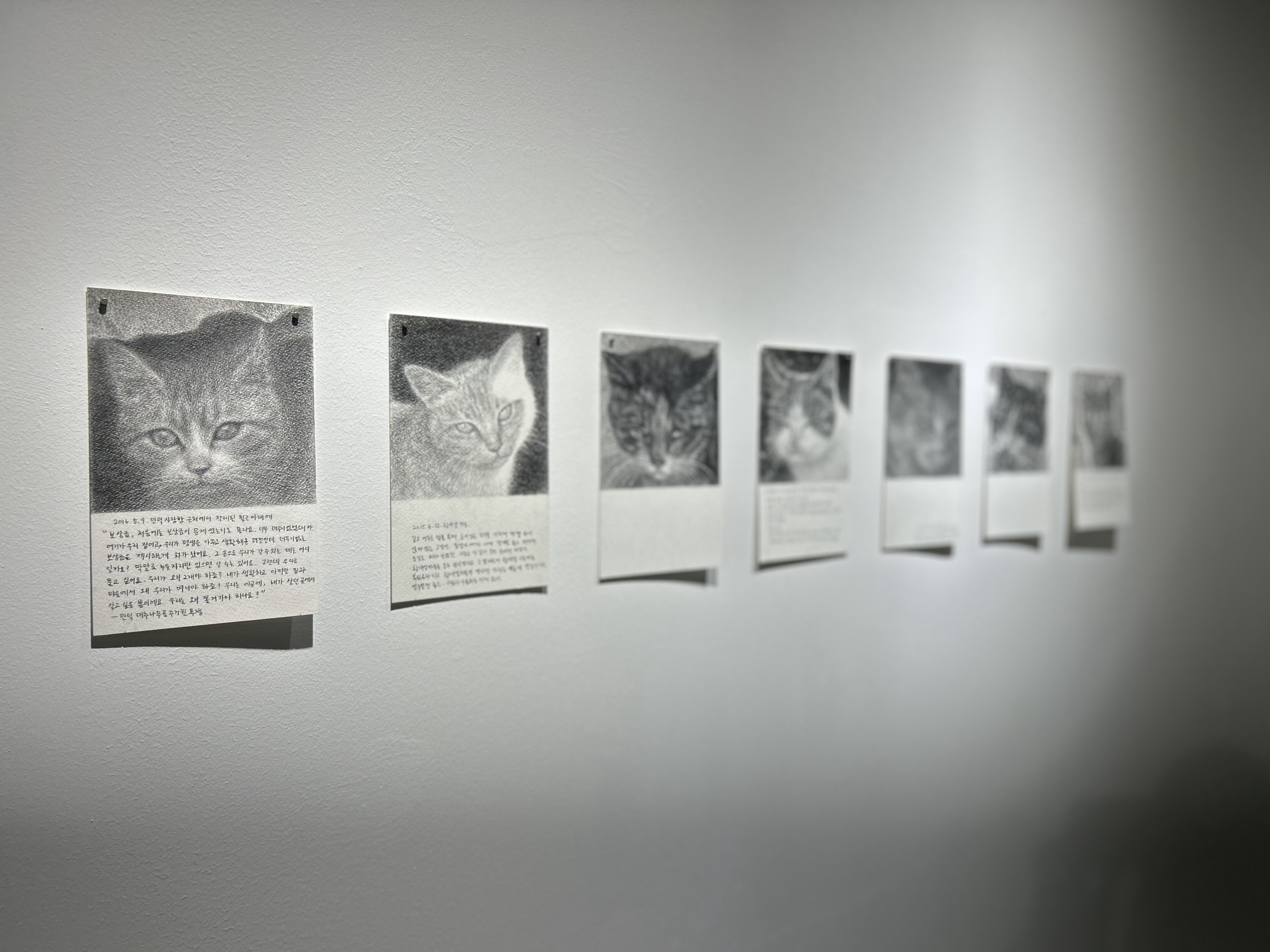 [2024교육전시]고양이 비밀정원-전시실14