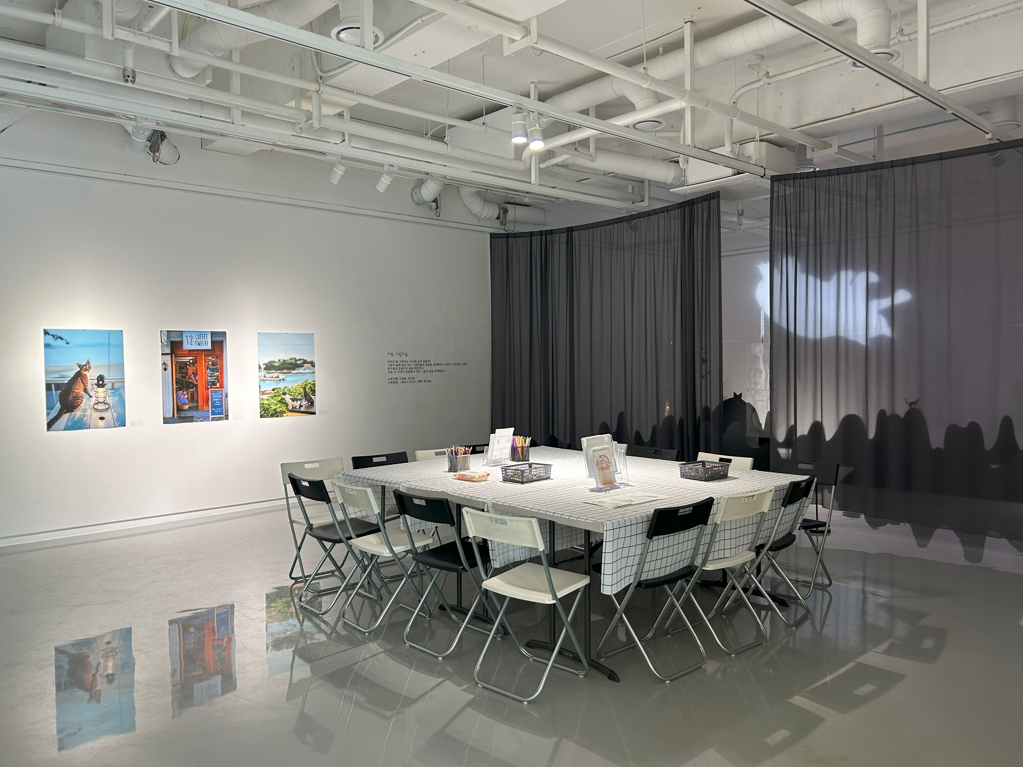 [2024교육전시]고양이 비밀정원-전시실22