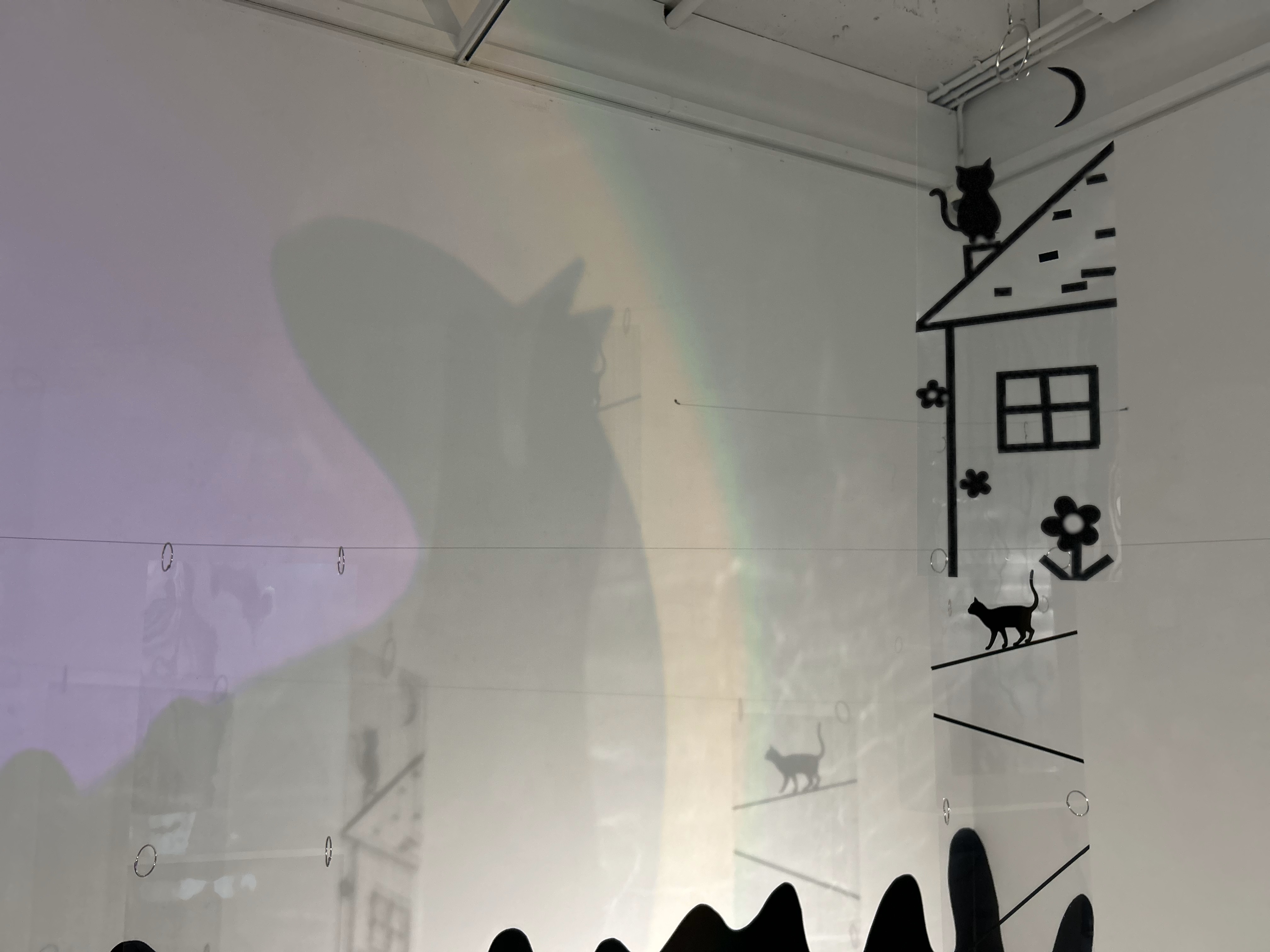 [2024교육전시]고양이 비밀정원-전시실24