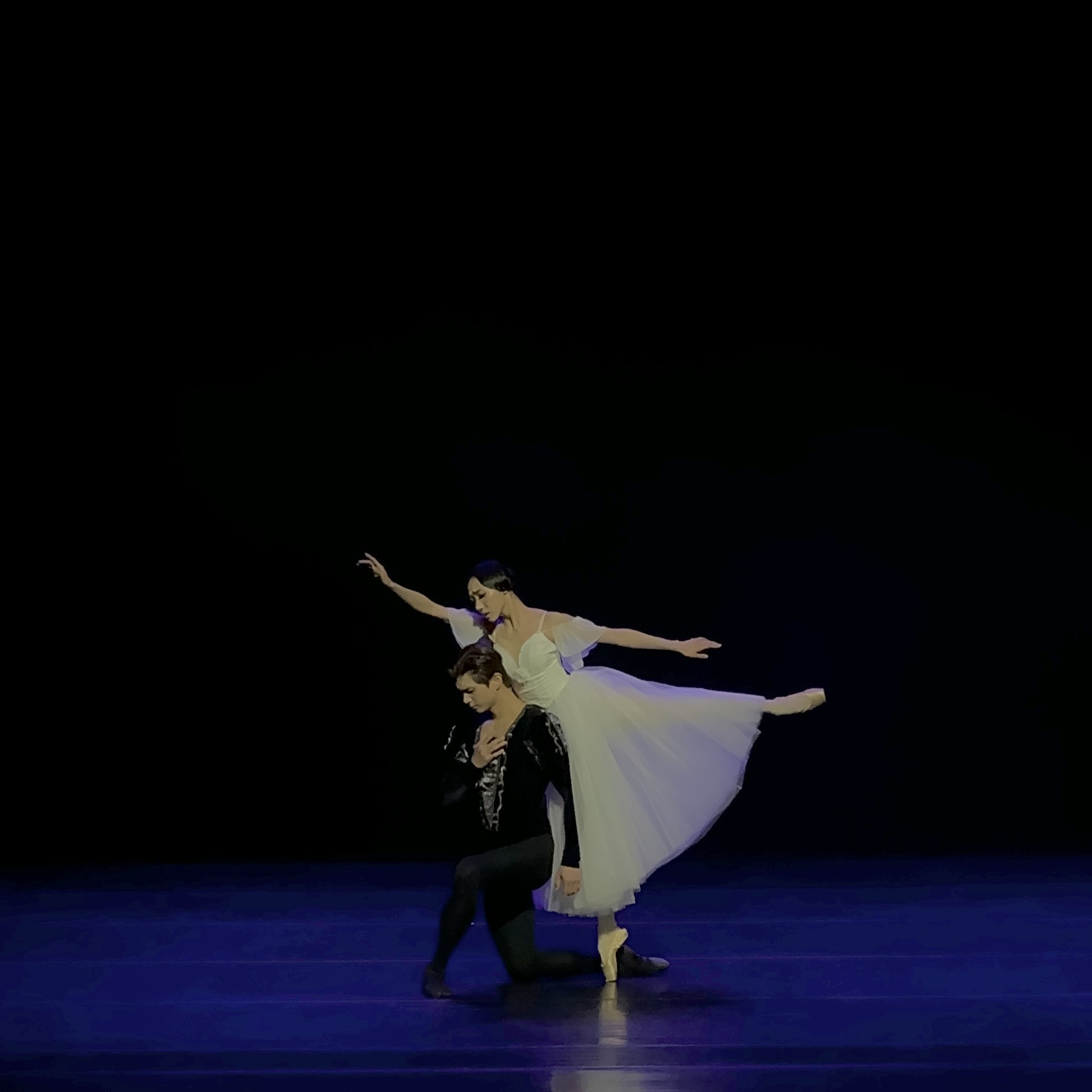 [2024 기획공연] 댄스 하이라이트 페스타2