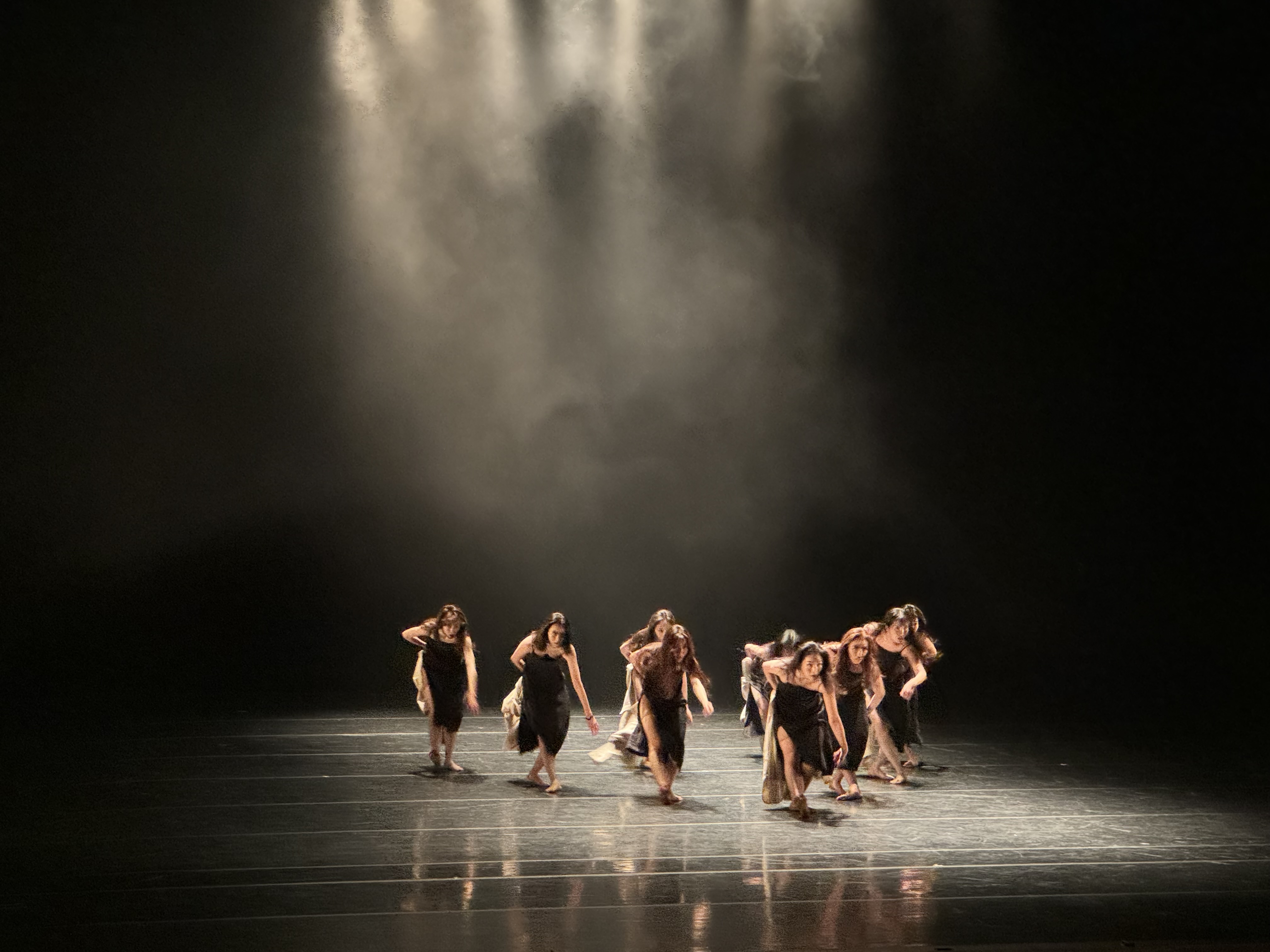 [2024 기획공연] 댄스 하이라이트 페스타