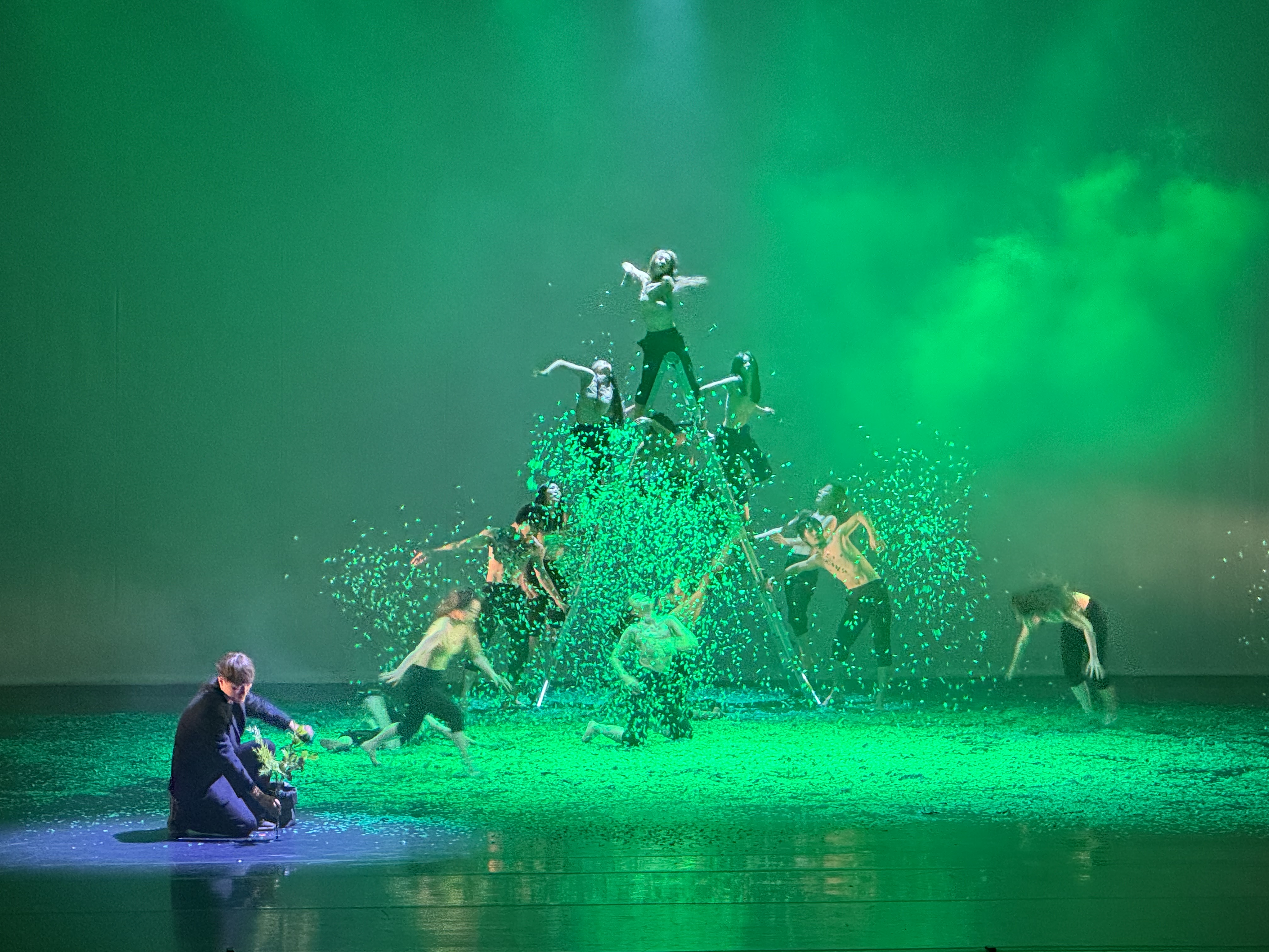 [2024 기획공연] 모헤르댄스컴퍼니 - 걷다, 바라보다 그리고 서다 