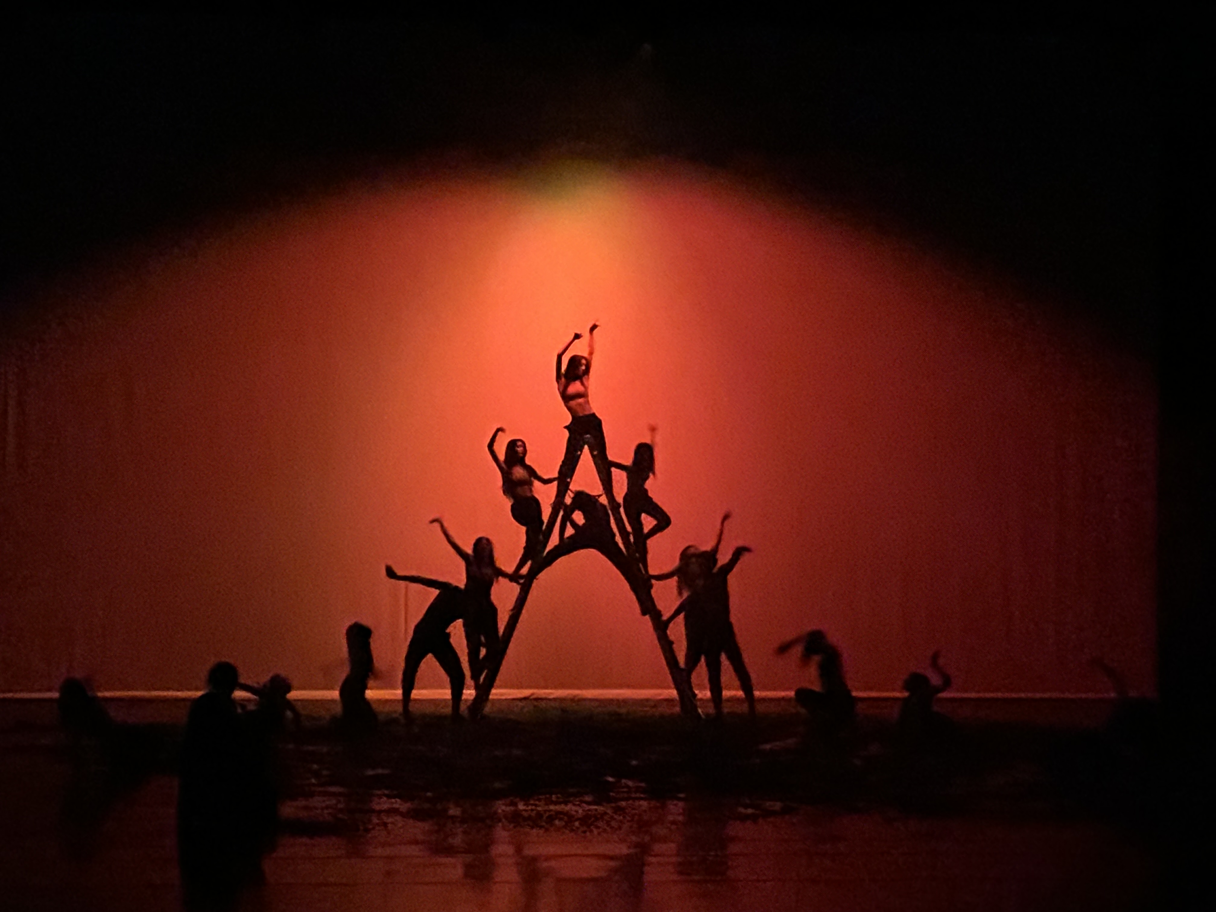 [2024 기획공연] 모헤르댄스컴퍼니 - 걷다, 바라보다 그리고 서다 4